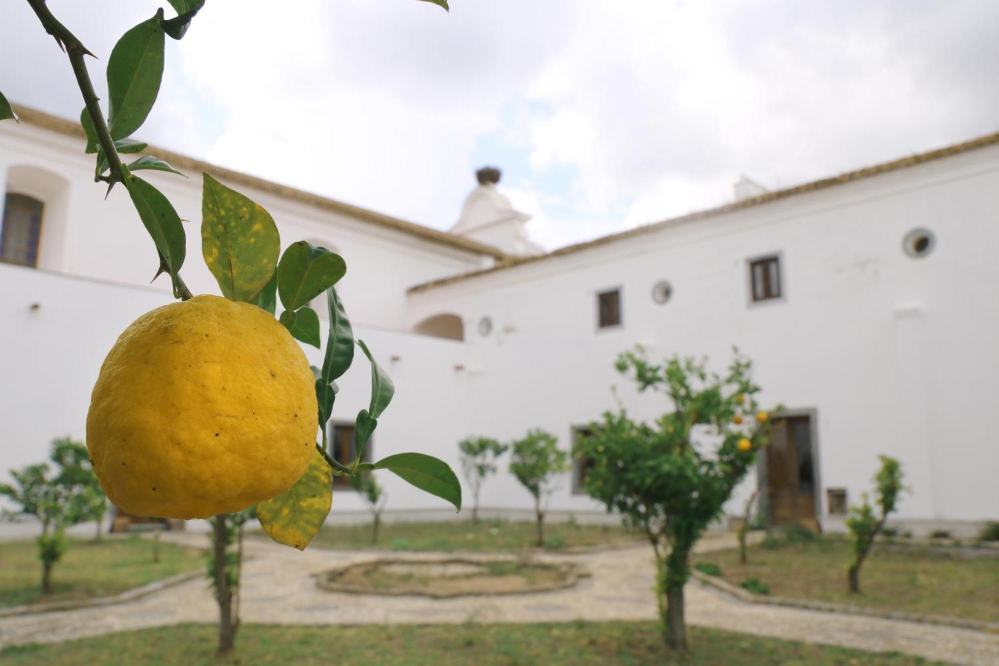 Convento Da Orada - Monsaraz Guest House Exterior photo